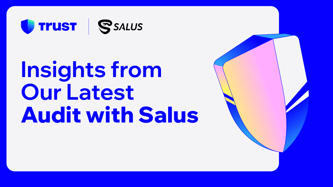 Insights from Our Latest Audit with Salus